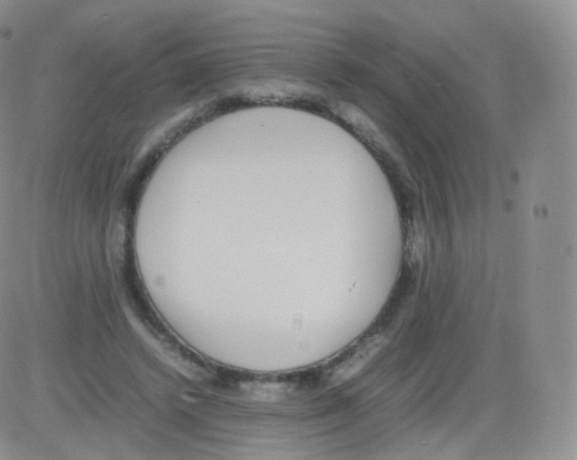 X0000082690448200702232209