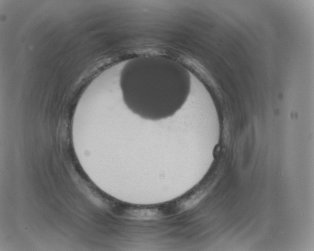 X0000082690449200702232209