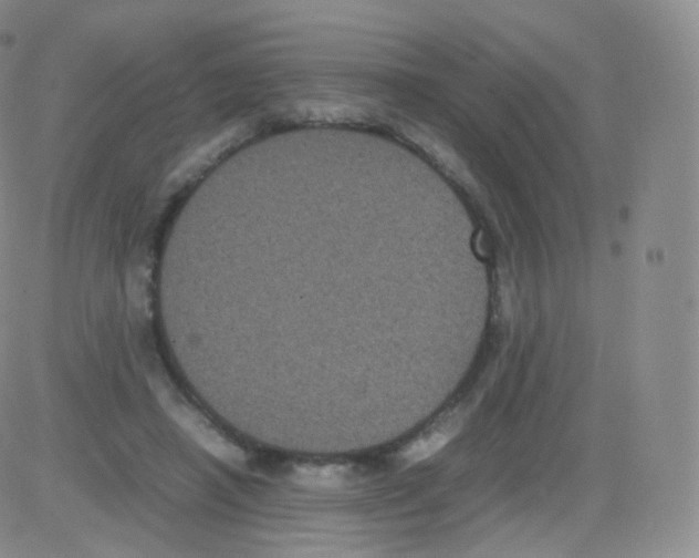 X0000082690450200702232209