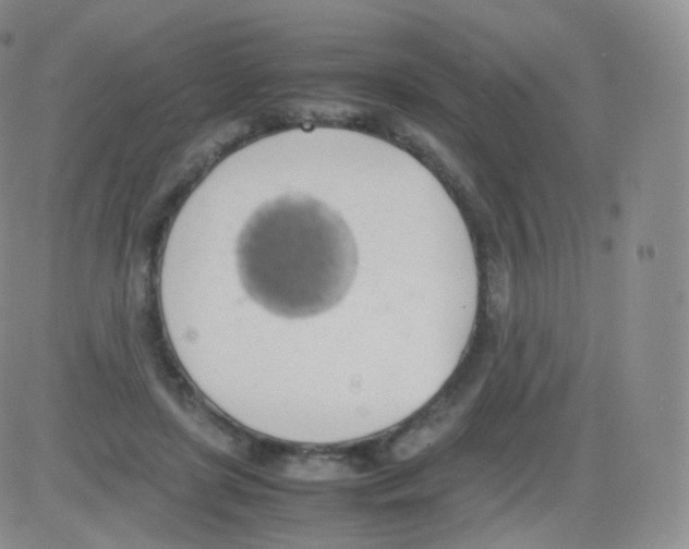 X0000082690451200702232209