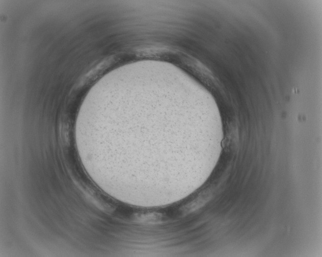 X0000082690452200702232209