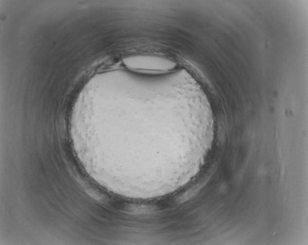 X0000082690453200702232209