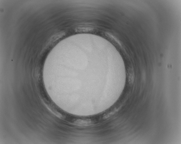 X0000082690455200702232209