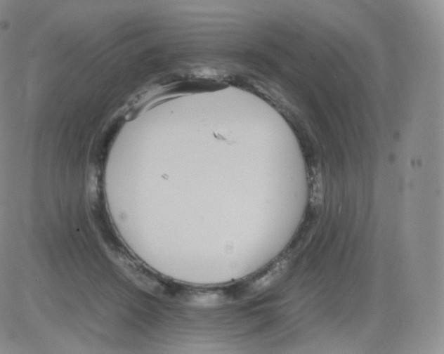 X0000082690456200702232209