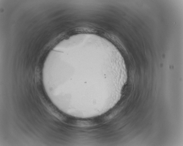 X0000082690457200702232209