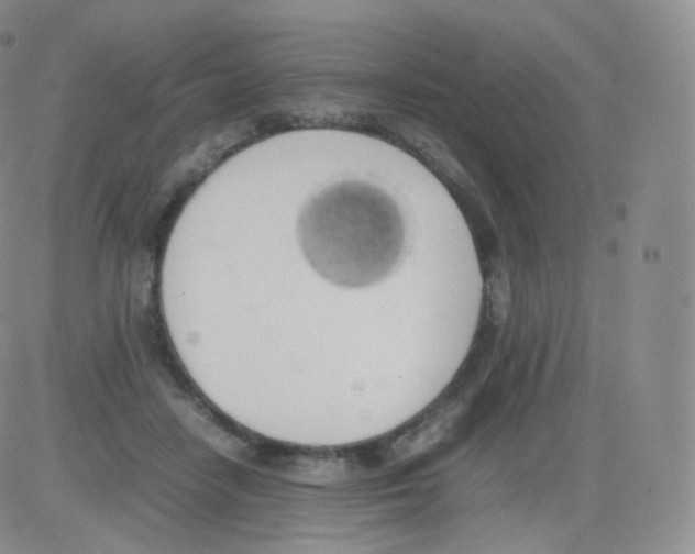 X0000082690458200702232209