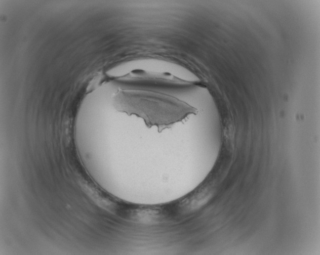 X0000082690462200702232209