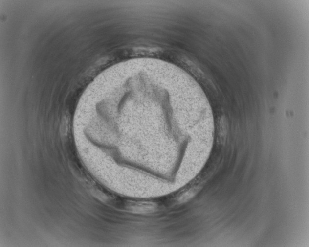 X0000082690463200702232209