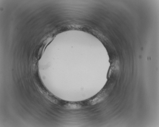 X0000082690464200702232209