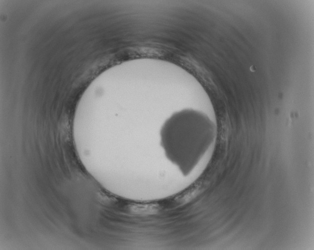 X0000082690465200702232209