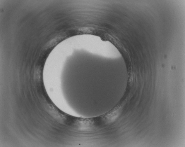 X0000082690466200702232209