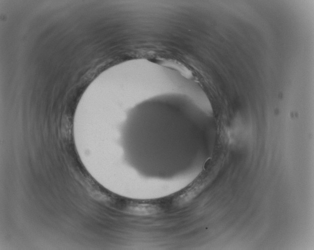 X0000082690467200702232209