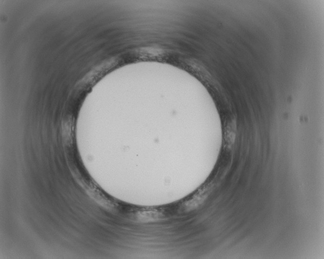 X0000082690468200702232209