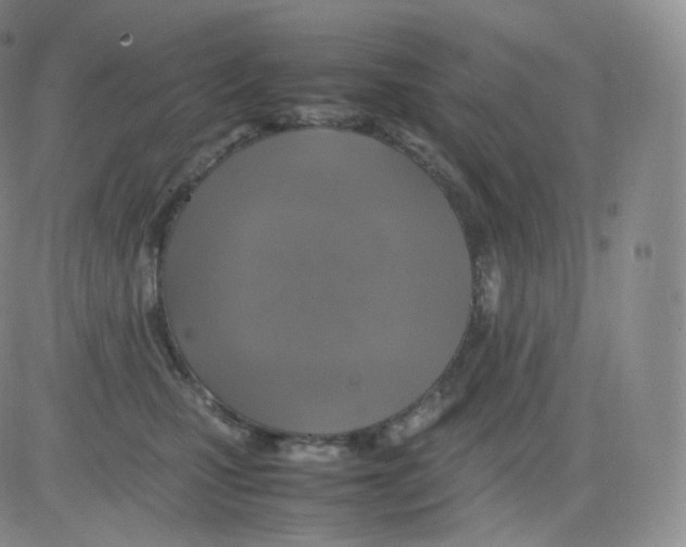 X0000082690471200702232209