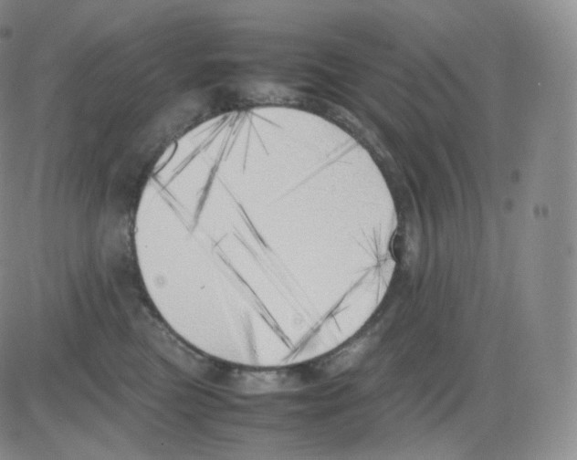 X0000082690473200702232209