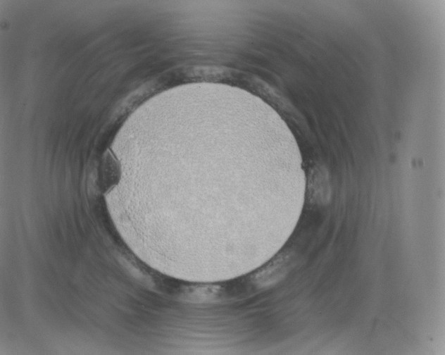 X0000082690474200702232209