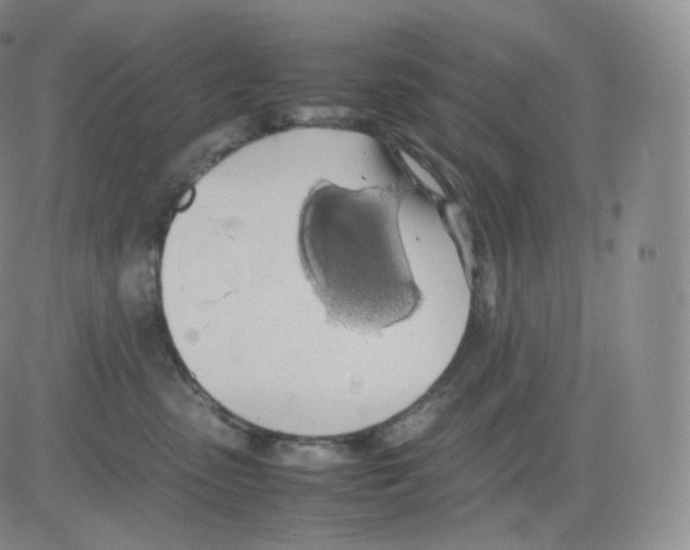 X0000082690475200702232209