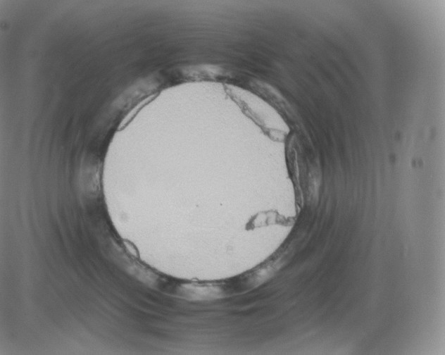 X0000082690477200702232209