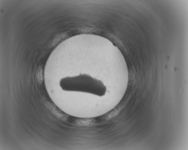 X0000082690479200702232209