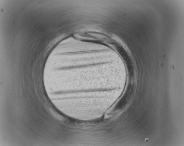 X0000082690481200702232208