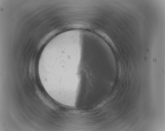 X0000082690482200702232208