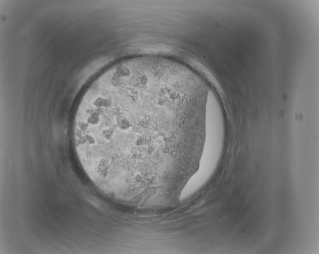 X0000082690483200702232208