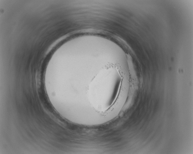 X0000082690484200702232208