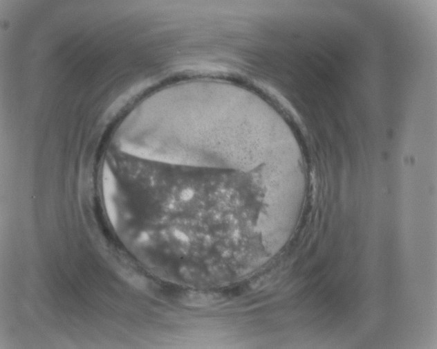 X0000082690487200702232208