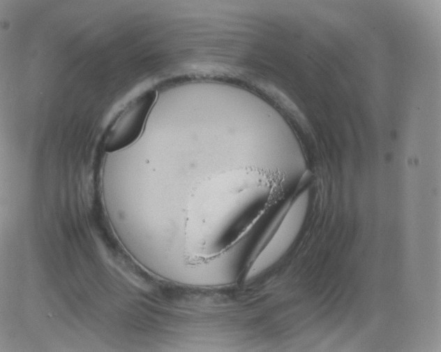 X0000082690488200702232208