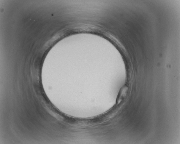 X0000082690489200702232208