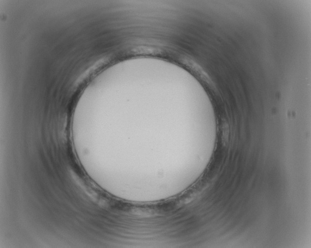 X0000082690490200702232208