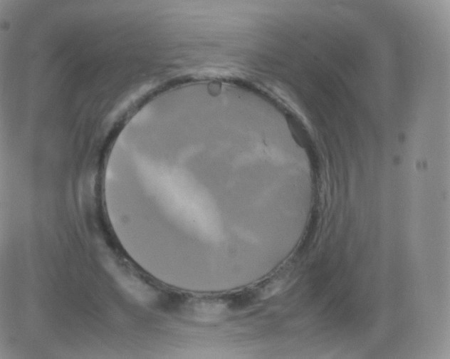 X0000082690491200702232208