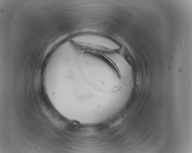 X0000082690492200702232208