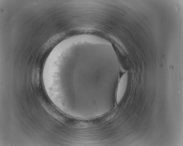 X0000082690494200702232208