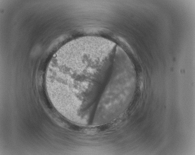 X0000082690495200702232208