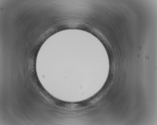 X0000082690497200702232208