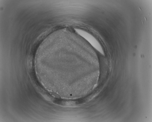 X0000082690501200702232208