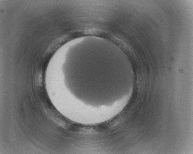 X0000082690502200702232208