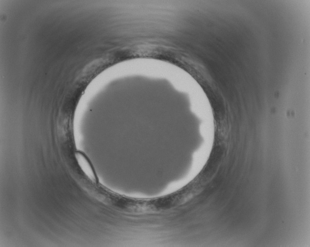 X0000082690503200702232208