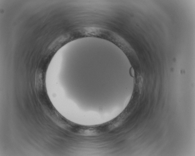 X0000082690506200702232208