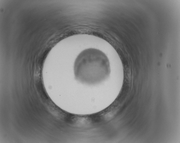 X0000082690507200702232208