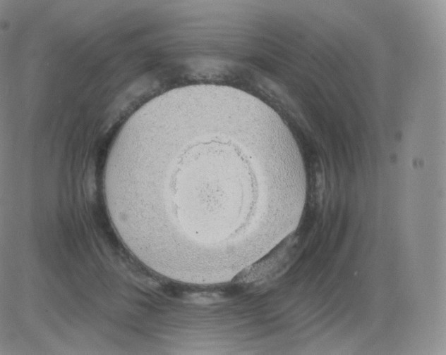 X0000082690508200702232208