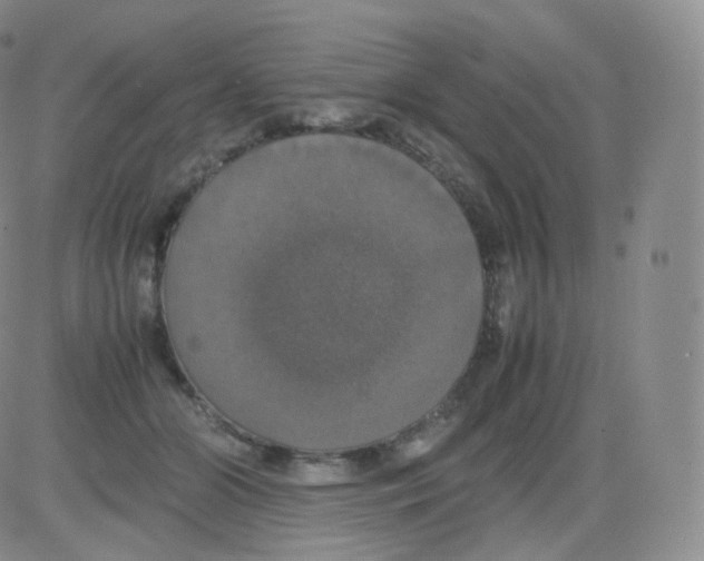 X0000082690510200702232208