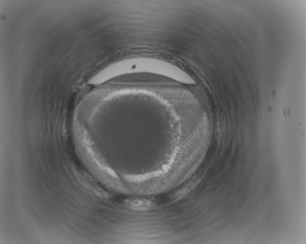 X0000082690512200702232208