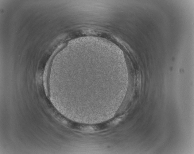 X0000082690513200702232208