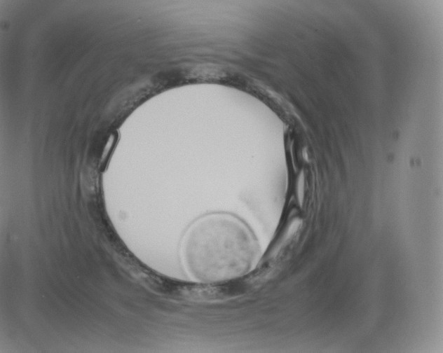 X0000082690517200702232208