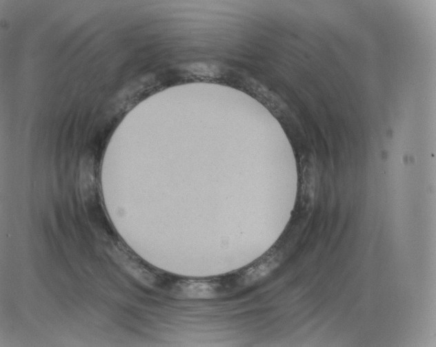 X0000082690518200702232208