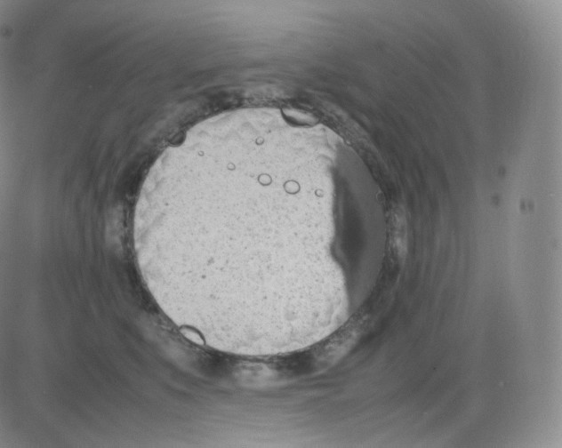 X0000082690519200702232208