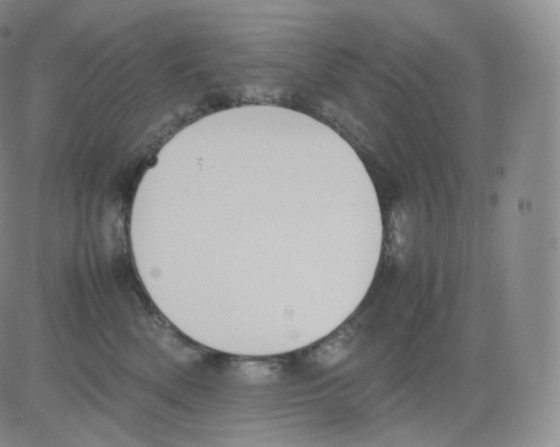 X0000082690522200702232208