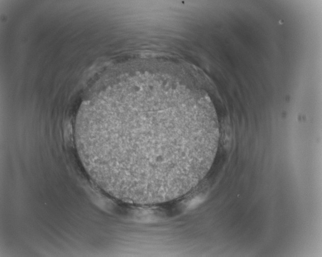 X0000082690523200702232208